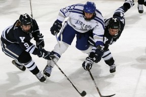 九游电竞-体育装备采购流程规范化与质量监管建议，体育器材采购清单